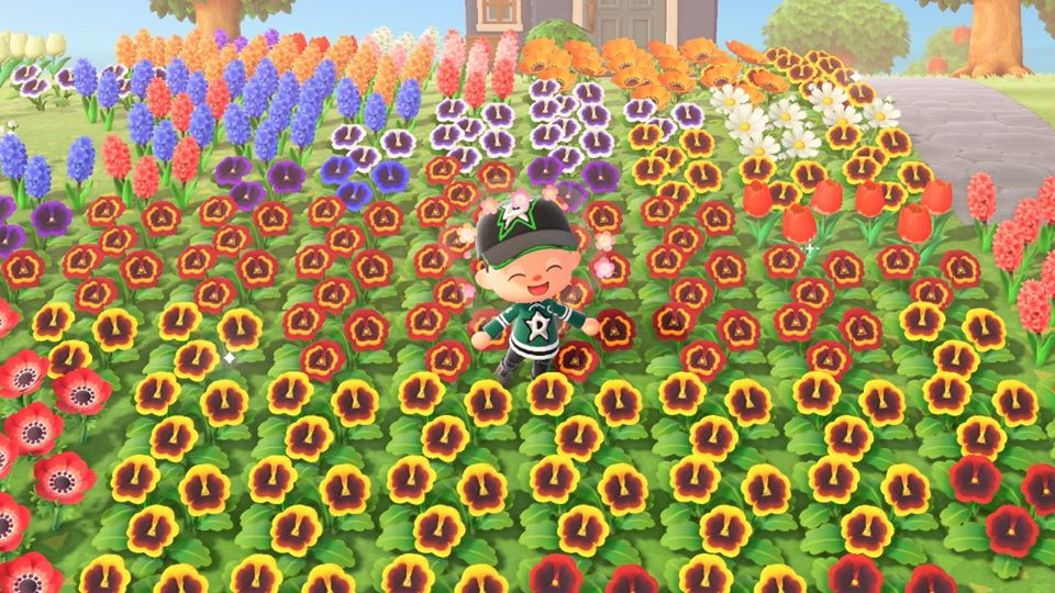 Animal Crossing Breeding Flowers