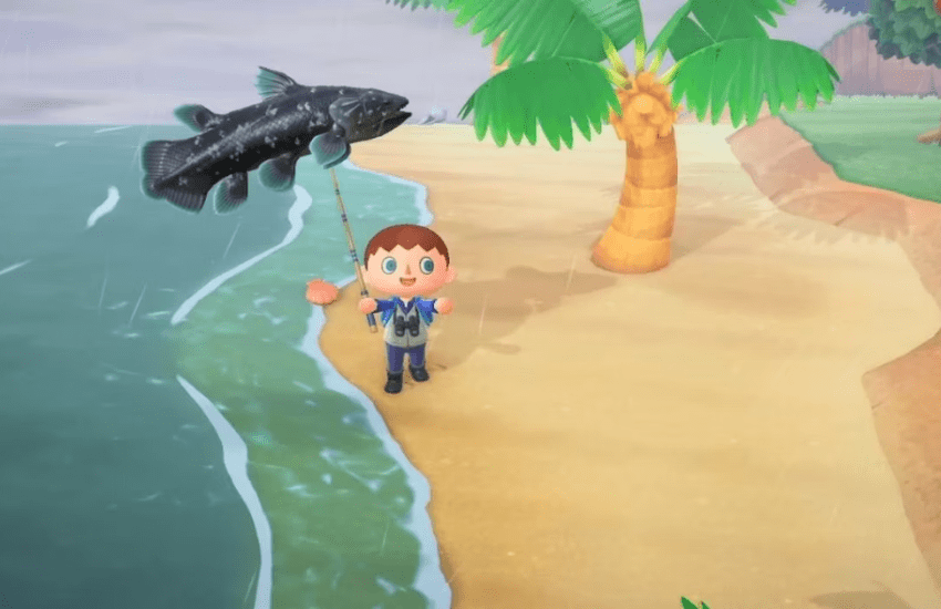 Fishing Tournaments Animal Crossing