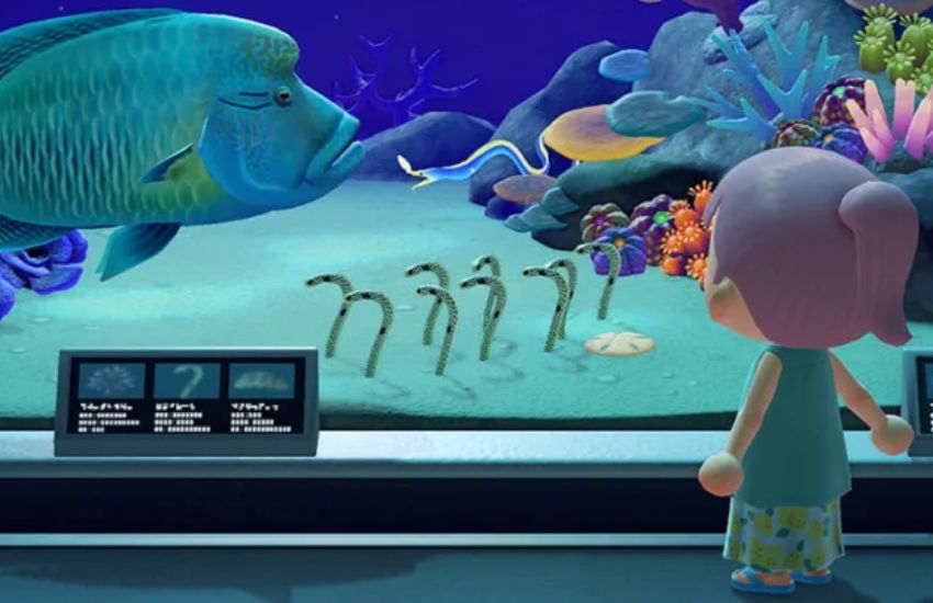 Ocean Fishes - Animal Crossing
